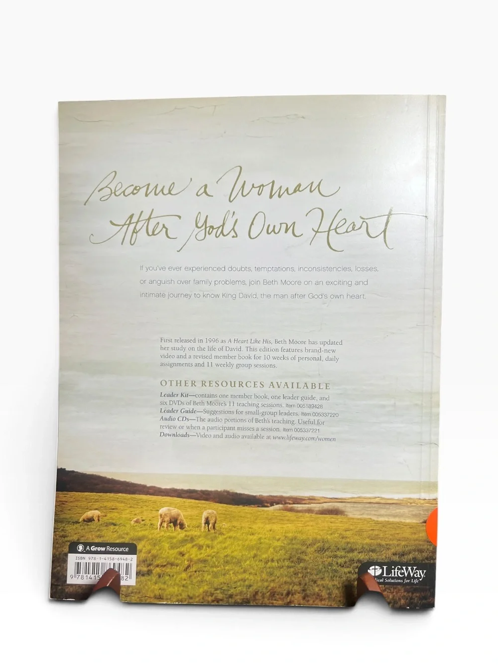 David - Bible Study Book Updated Edition: Seeking a Heart Like His by Beth Moore